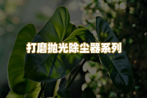 打磨抛光除尘器系列
