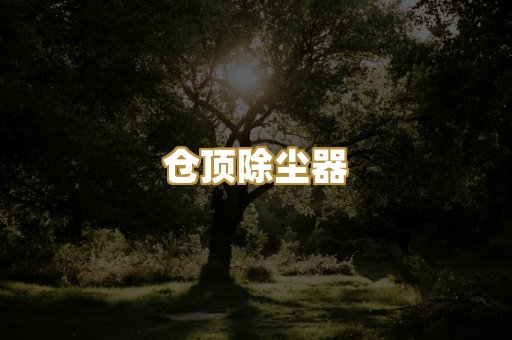 仓顶除尘器